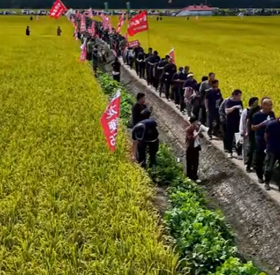 龍粳1823經銷商分享現場